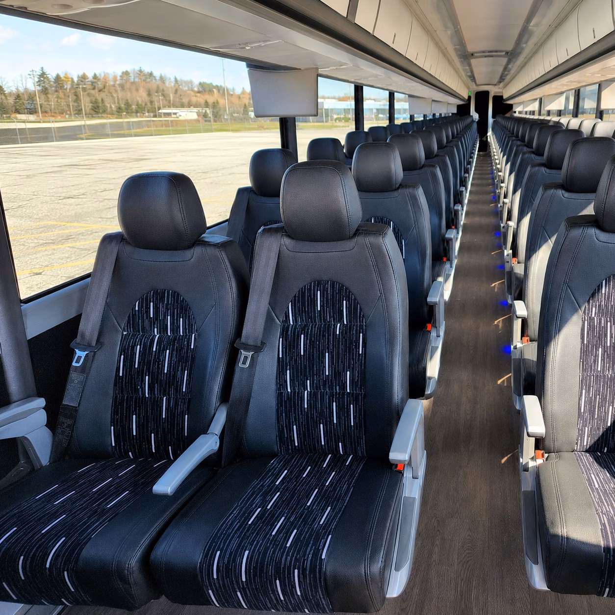 compare buses in minutes not days